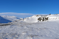 Gråhøa