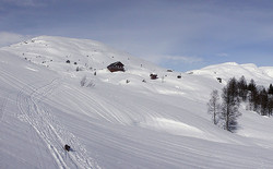 Byrseteggi