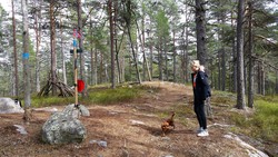 Lauvåsknollen