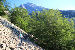 Monte d'Oro