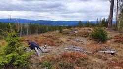 Vest for Dælaåsen