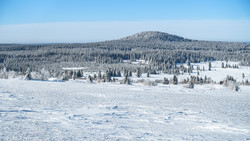 Božídarský Špičák