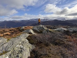 Børkjelandsnuten