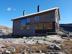 Gullhorgabu