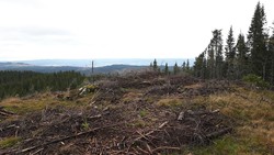 Dalhøgda