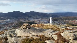 Austefjellet søyle