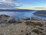 Vennaknubben