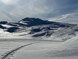 Langetjødnknuten