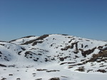Bergan