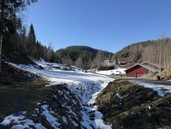 Grimås