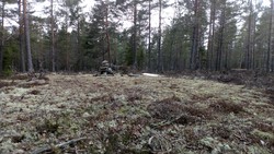Tolerudåsen