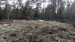 Tolerudåsen