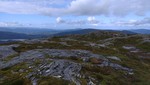 Olgrøda