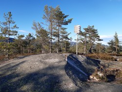 Bruskor