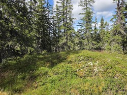 Garavikhøgde