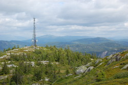 Lauvvikfjell