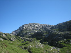 Gråhorga