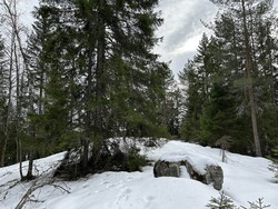 Tørråsen