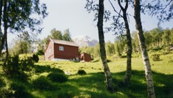 Honndalen