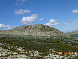 Bakkekampen