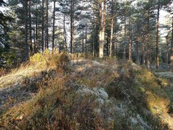 Nebbåsen