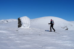 Reindølsnabben