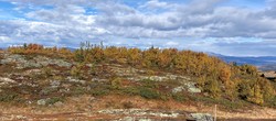 Fiskeløyshøgde