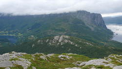 Kvitenipa