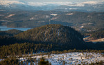 Grønlihåmmåren