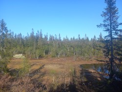 Svartbekkskurven