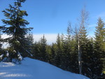 Vidvangshøgda