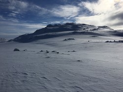 Vasshellerbrotet