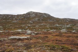 Øst for Ørneflag