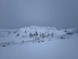Vest for Kattuglekampen