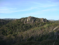 Bukkaknuden