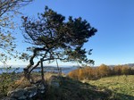 Brenningstua