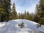 Granberget