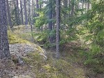 Rulleåsene