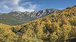 Siete Picos