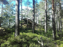 Lovisenbergkollen