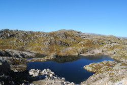 Sauanuten