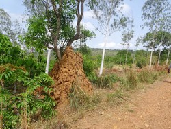Sokbaro