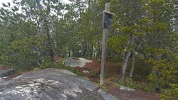 Tikneppen