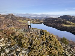 Såtenipen