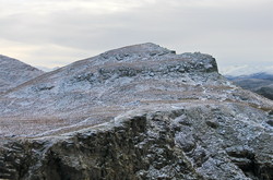 Sandshornet