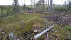 Spiten