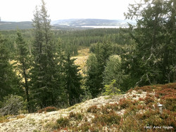 Skutberget øst