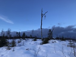 Pålsbråtan
