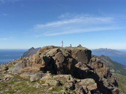 Steinheia