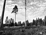 Brattåsen